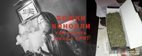 стаф Зерноград