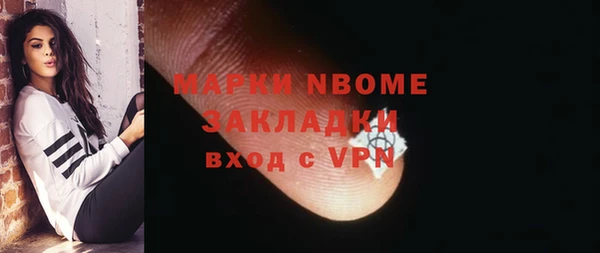 стаф Зерноград