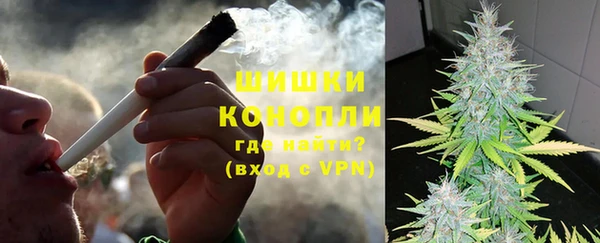 стаф Зерноград