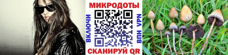 Галлюциногенные грибы Cubensis  Купить где  Альметьевск 